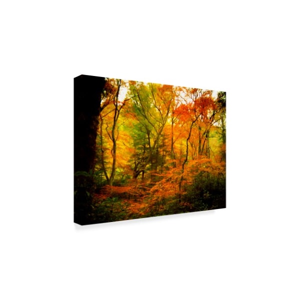 J.D. Mcfarlan 'Chimneys Trail, Tn' Canvas Art,18x24